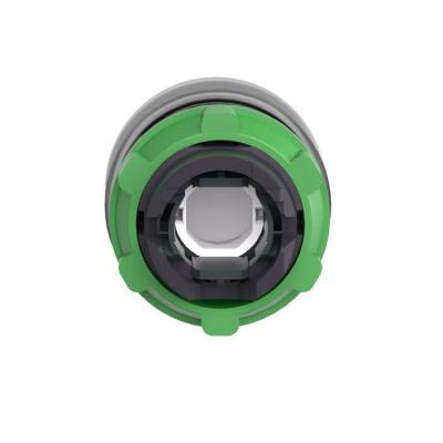  t�te BP lum O22 vert capuchon 