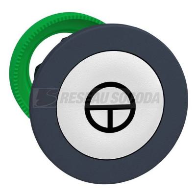  t�te BP flush marqu� blanc 