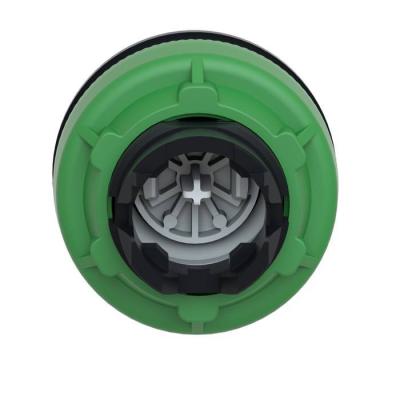  t�te BP flush marqu� blanc 