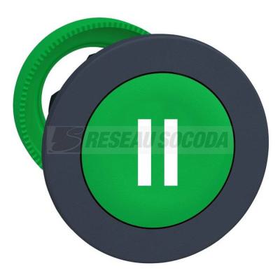  t�te BP flush marqu� vert 