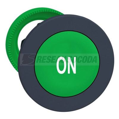  t�te BP flush marqu� vert 