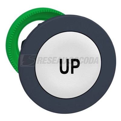  t�te BP flush marqu� blanc 