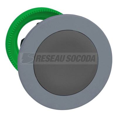  t�te BP flush O22 gris 