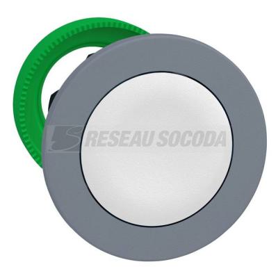  t�te BP pous-pous flush blanc 