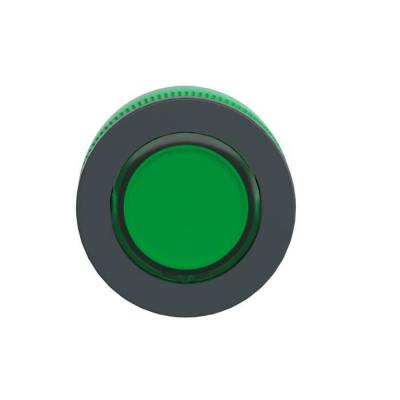 t�te BP pouss lum flush vert 