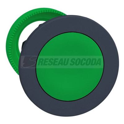  t�te BP pous-pous flush vert 