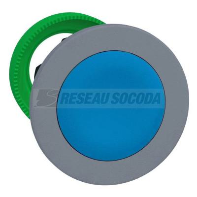  t�te BP pouss flush bleu 