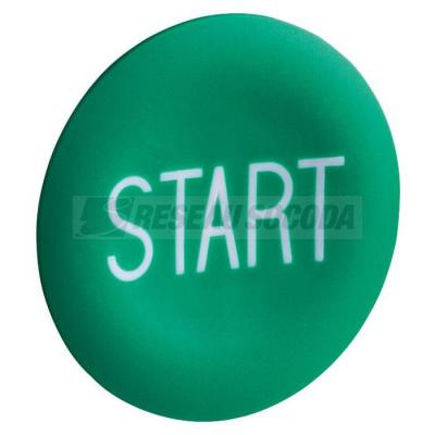  CAPSULE START 