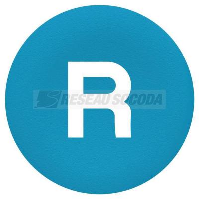  CAPSULE R 