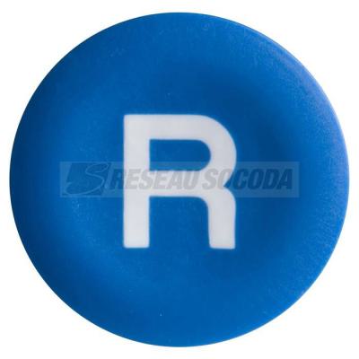  CAPSULE R 