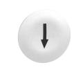  CAPSULE B P BLANC MARQ FL 
