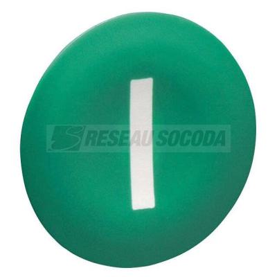  CAPSULE B P VERT MARQ I 