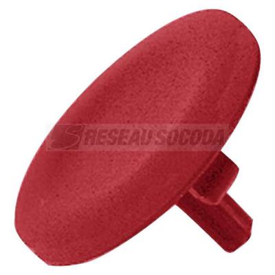  CAPSULE POUSS.DEPASSANT 