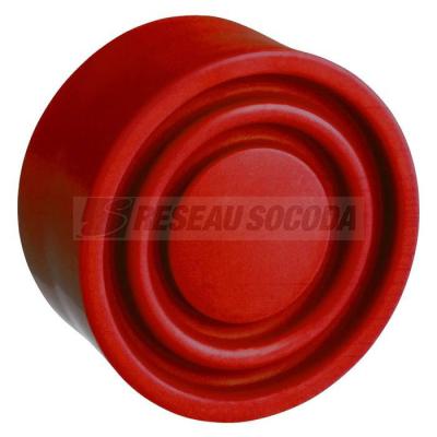 CAPUCHON ROUGE 