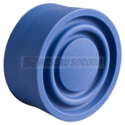  CAPUCHON BLEU 