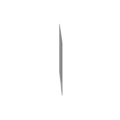  PLASTRON VIERGE 200X100 MM 