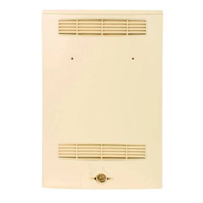  PANNEAU C100P100 ECLAIR 