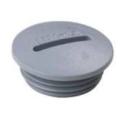  Bouchon Plio BC PG 29 