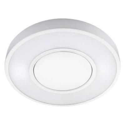  CIRCULUS BLANC 17W LED + DETEC 
