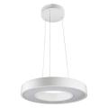  CIRCULUS SUSPENSION BLANC 17W 