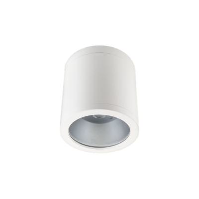  RAX SOFT SURFACE 150 DOWNLIGHT 