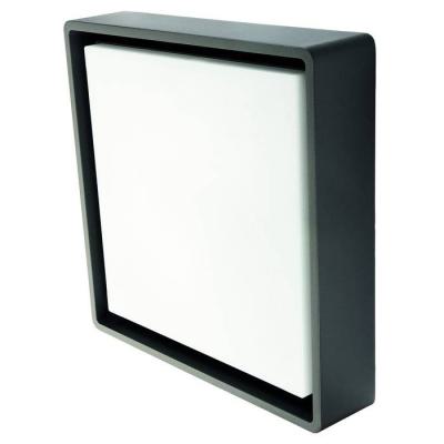  FRAME SQUARE MAXI GRAPHITE 300 