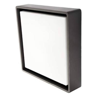  FRAME SQUARE MAXI GRAPHITE 21W 