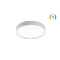  DISC 290 TW BLANC DALI 