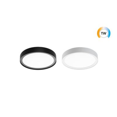  DISC 290 TW BLANC DALI 