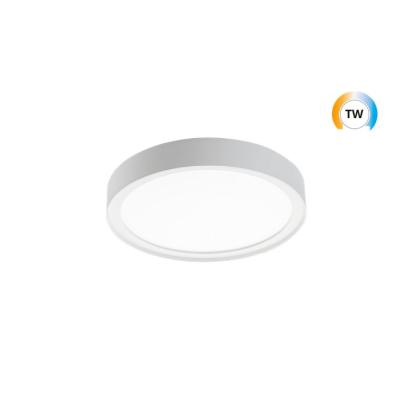  DISC 290 BLANC TW LEDDIM 