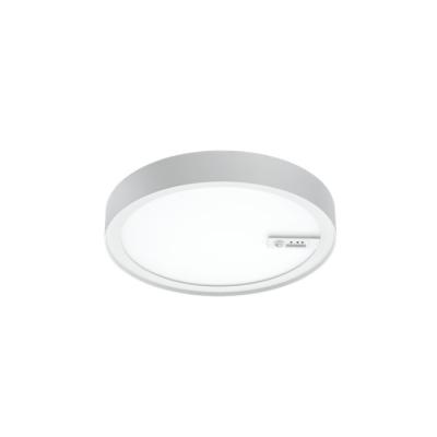  DISC 290 CONNECT BLANC 3000K 