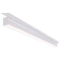  SECTOR REGLETTE RAIL BLANC 66W 