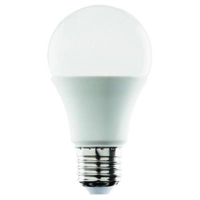  LAMPE A60 10W E27 2700K 190D D 