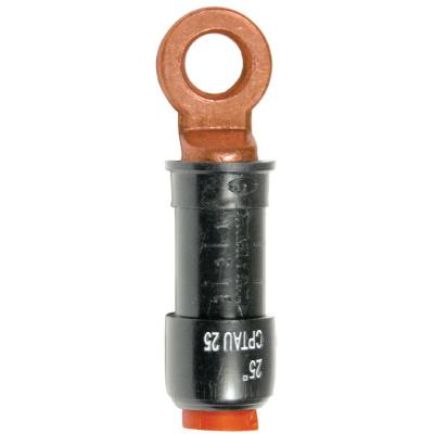  Cosse pr�isol�e 70 mm� borne C 