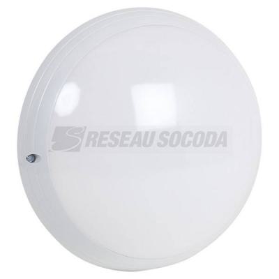  ASTREO 800 4000 AV O/OF B 