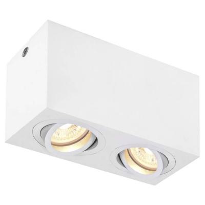  TRILEDO Double, plafonnier bl 