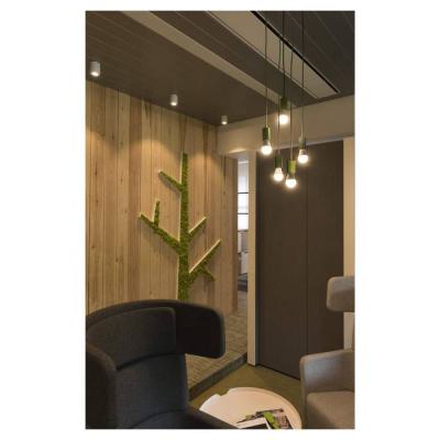  TRILEDO ROND CL plafonnier, bl 