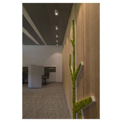 TRILEDO ROND CL plafonnier, bl 