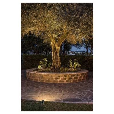  LED SPIKE, spot piquet, LED, a 