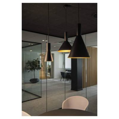  PHELIA, suspension int�rieure 