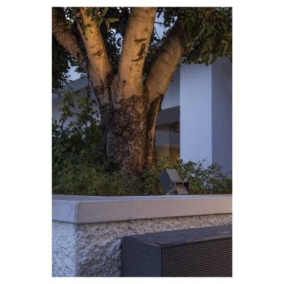  THEO BRACKET spot piquet anth 