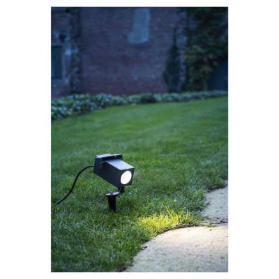  THEO BRACKET spot piquet anth 