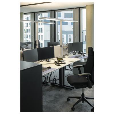  WORKLIGHT PRO FL, double blanc 