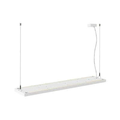  WORKLIGHT PRO 120 PD blan DALI 
