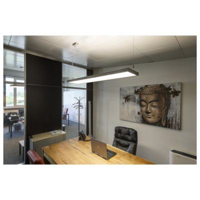  WORKLIGHT PRO 120 PD gris DALI 
