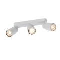  PURI 2.0 Tube app plaf long 3x 
