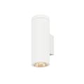  HELIA PRO L WL simple DALI P1 