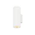  HELIA PRO L WL simple DALI P2 