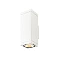  THEO PRO L WL simple dali P2 2 