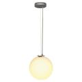  ROTOBALL 25 gris argent/blanc 
